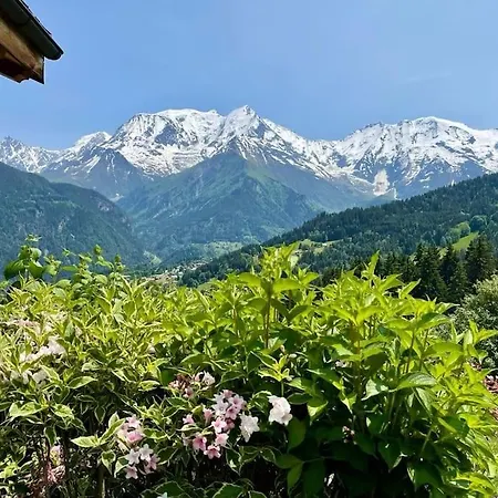 Apt In Saint-gervais Ski Saint-Gervais-les-Bains
